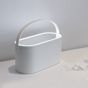 Travel Makeup Organizer With LED Lights Makeup Mirror