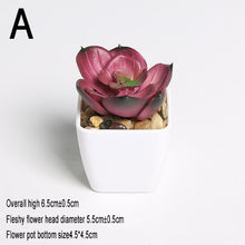 Load image into Gallery viewer, Xuanxiaotong Artificial Mini Plants Vivid Cactus Succulent Home Decoration Bonsai Plant with Vase for Office Table Indoor Plants