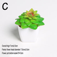 Load image into Gallery viewer, Xuanxiaotong Artificial Mini Plants Vivid Cactus Succulent Home Decoration Bonsai Plant with Vase for Office Table Indoor Plants