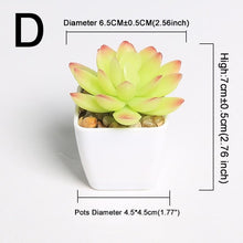 Load image into Gallery viewer, Xuanxiaotong Artificial Mini Plants Vivid Cactus Succulent Home Decoration Bonsai Plant with Vase for Office Table Indoor Plants