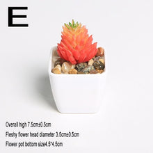 Load image into Gallery viewer, Xuanxiaotong Artificial Mini Plants Vivid Cactus Succulent Home Decoration Bonsai Plant with Vase for Office Table Indoor Plants