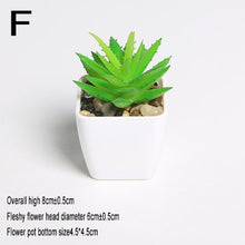 Load image into Gallery viewer, Xuanxiaotong Artificial Mini Plants Vivid Cactus Succulent Home Decoration Bonsai Plant with Vase for Office Table Indoor Plants