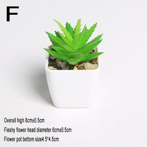 Xuanxiaotong Artificial Mini Plants Vivid Cactus Succulent Home Decoration Bonsai Plant with Vase for Office Table Indoor Plants