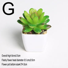 Load image into Gallery viewer, Xuanxiaotong Artificial Mini Plants Vivid Cactus Succulent Home Decoration Bonsai Plant with Vase for Office Table Indoor Plants