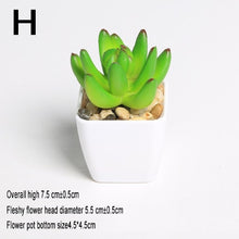 Load image into Gallery viewer, Xuanxiaotong Artificial Mini Plants Vivid Cactus Succulent Home Decoration Bonsai Plant with Vase for Office Table Indoor Plants