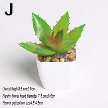 Load image into Gallery viewer, Xuanxiaotong Artificial Mini Plants Vivid Cactus Succulent Home Decoration Bonsai Plant with Vase for Office Table Indoor Plants