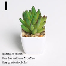 Load image into Gallery viewer, Xuanxiaotong Artificial Mini Plants Vivid Cactus Succulent Home Decoration Bonsai Plant with Vase for Office Table Indoor Plants