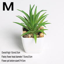 Load image into Gallery viewer, Xuanxiaotong Artificial Mini Plants Vivid Cactus Succulent Home Decoration Bonsai Plant with Vase for Office Table Indoor Plants