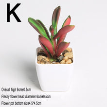 Load image into Gallery viewer, Xuanxiaotong Artificial Mini Plants Vivid Cactus Succulent Home Decoration Bonsai Plant with Vase for Office Table Indoor Plants